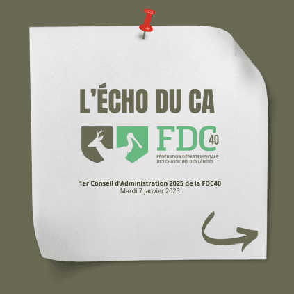 echo du ca janvier 2025