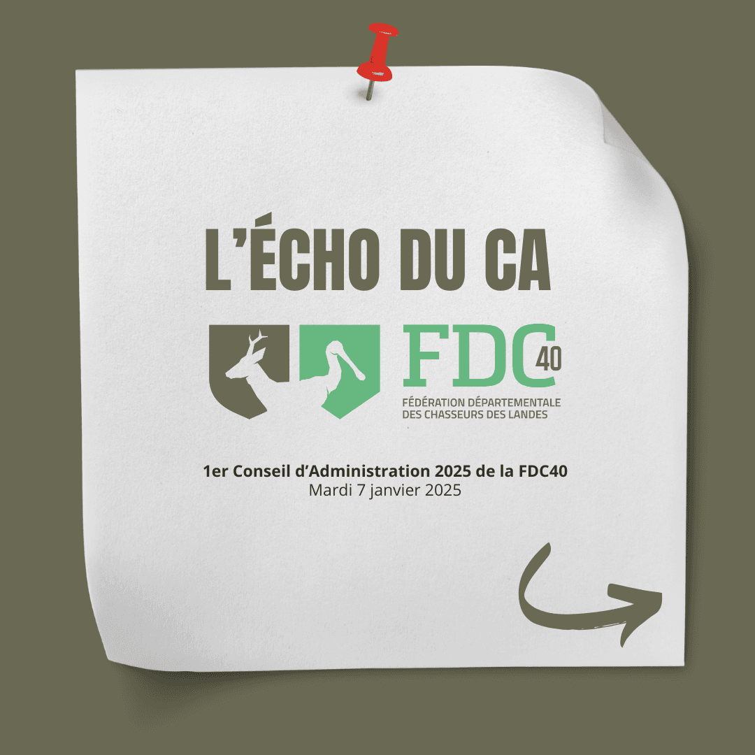 echo du ca janvier 2025
