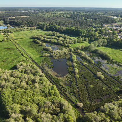 marais postagnacq exmple de compensation ecologique landes