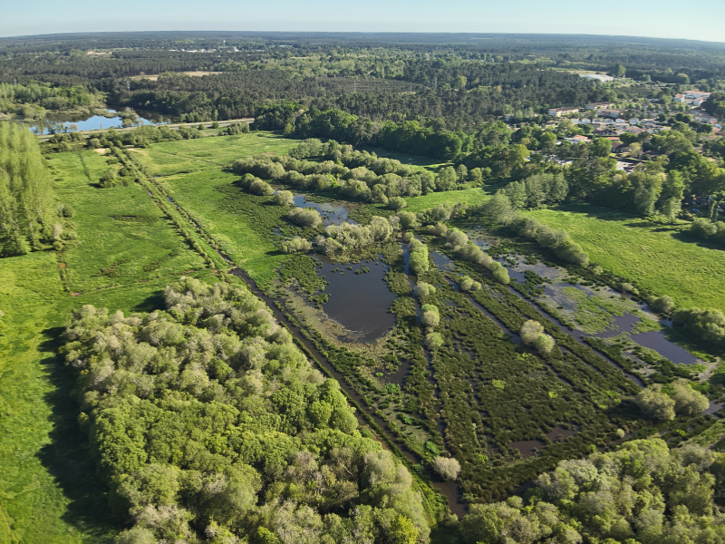 marais postagnacq exmple de compensation ecologique landes