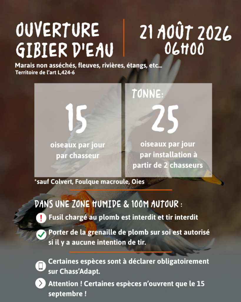 ouverture gibier d'eau
