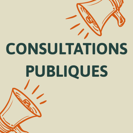 CONSULTATIONS PUBLIQUES