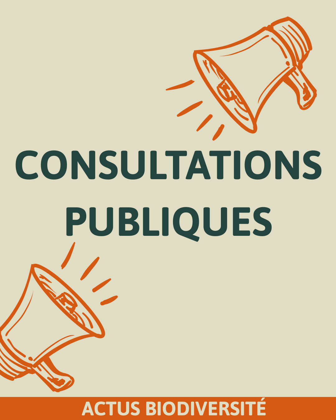 CONSULTATIONS PUBLIQUES