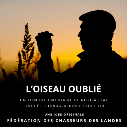 Chasse à l ortolan dans les landes le film