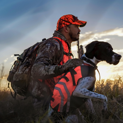 Arrêté d’ouverture de la chasse 2026-2027 – Landes