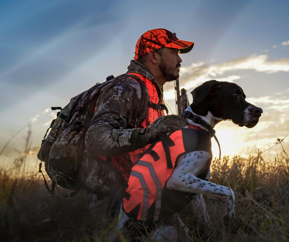 Arrêté d’ouverture de la chasse 2026-2027 – Landes