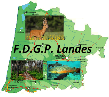 FDGP