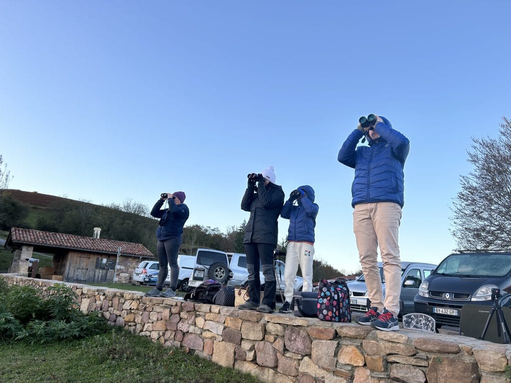 étude de la migration oiseaux palombes ornithologie