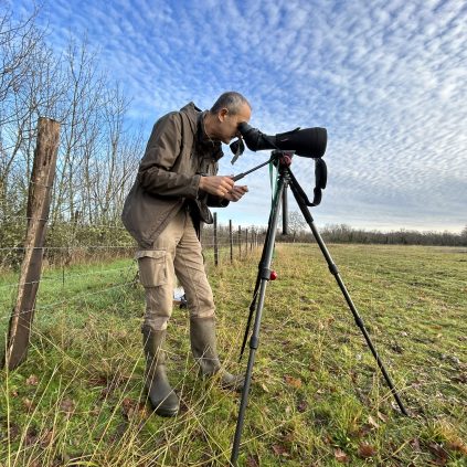 comptage Wetlands : recensement international des populations hivernantes d'oiseaux d'eau sur les zones humides