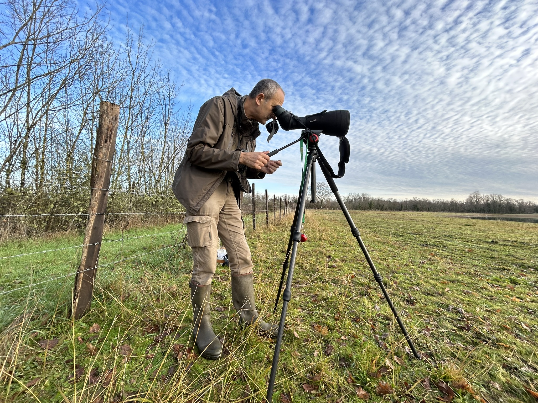comptage Wetlands : recensement international des populations hivernantes d'oiseaux d'eau sur les zones humides