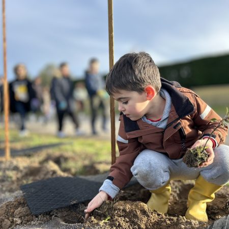 plantation haies landes biodiversité trame verte