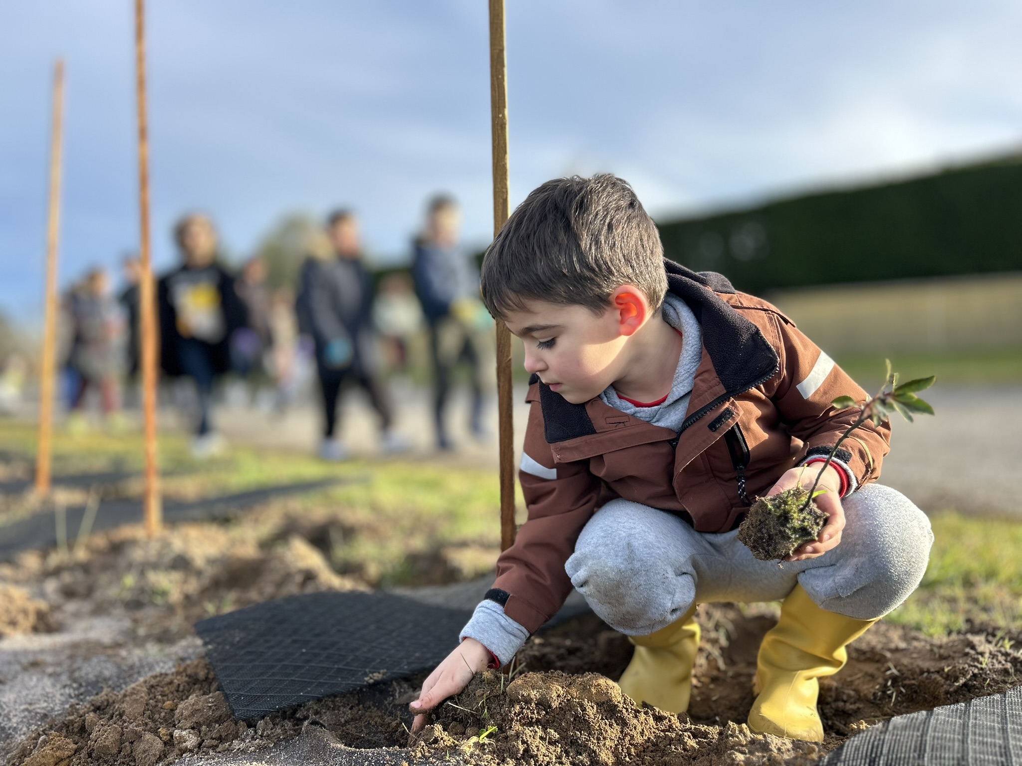 plantation haies landes biodiversité trame verte