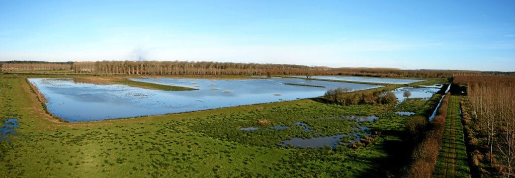 Barthe de La Plaine Pontonx-sur-l'Adour zone humide Pontonx