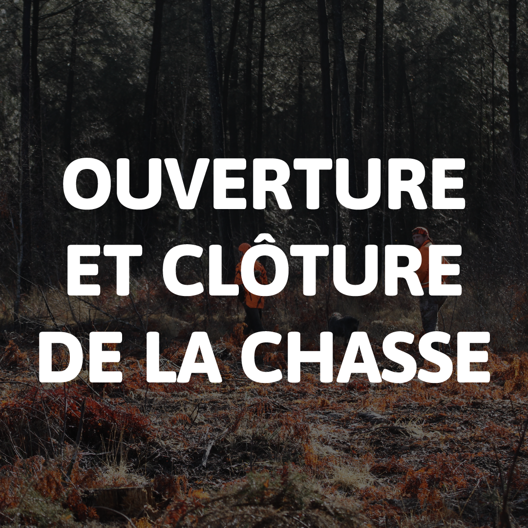 OUVERTURE ET CLOTURE CHASSE