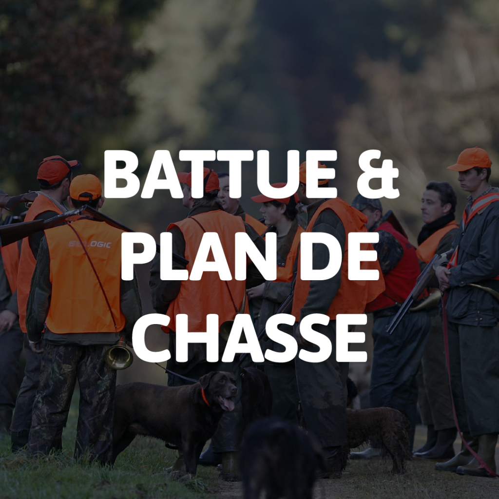 BATTUE ET PLAN DE CHASSE