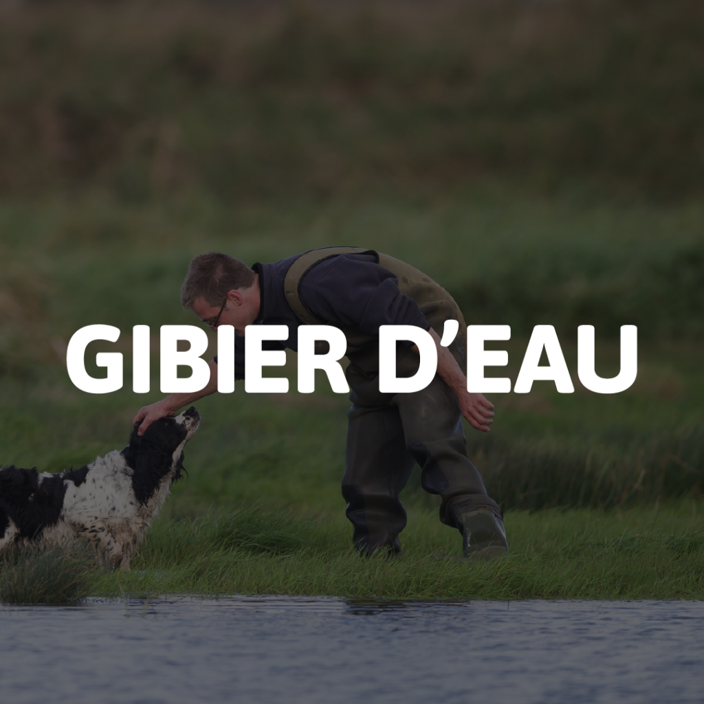 GIBIER D'EAU