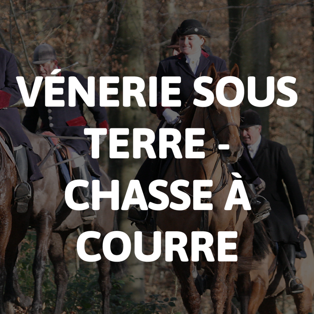 VÉNERIE