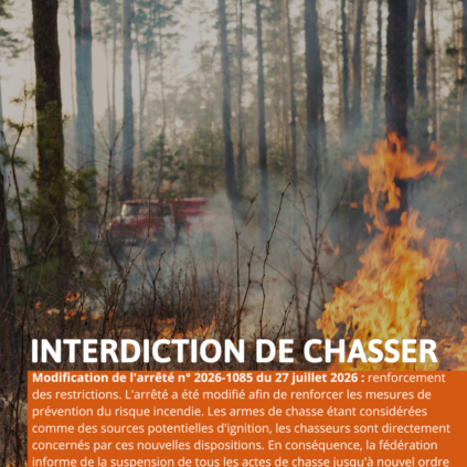Suspension de la chasse
