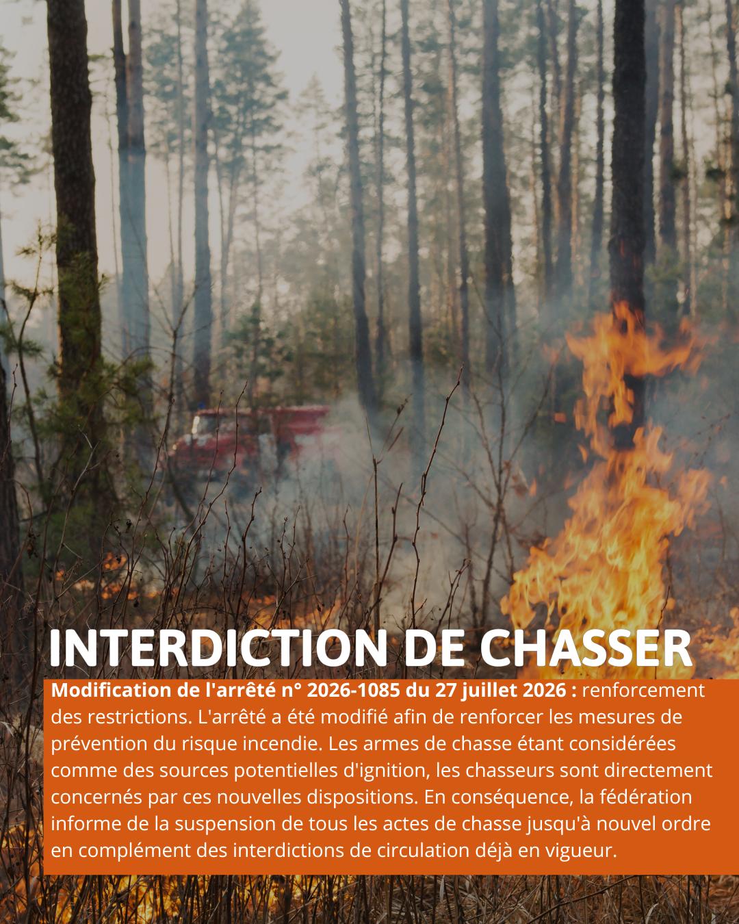 Suspension de la chasse