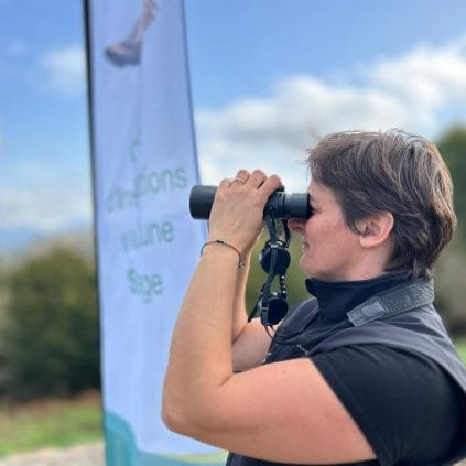 compter oiseaux migrateurs pays basque