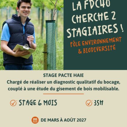 RECRUTEMENT STAGE ENVIRONNEMENT