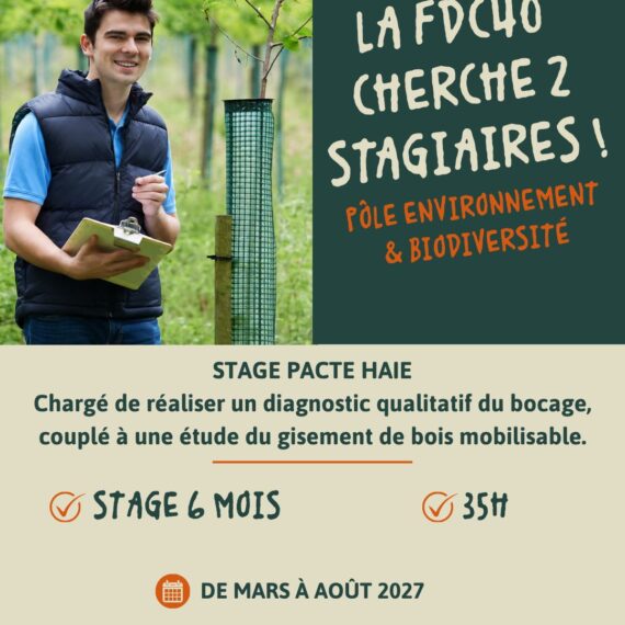 RECRUTEMENT STAGE ENVIRONNEMENT