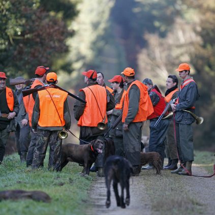 dates d’ouverture de la chasse pour la campagne 2024 / 2025