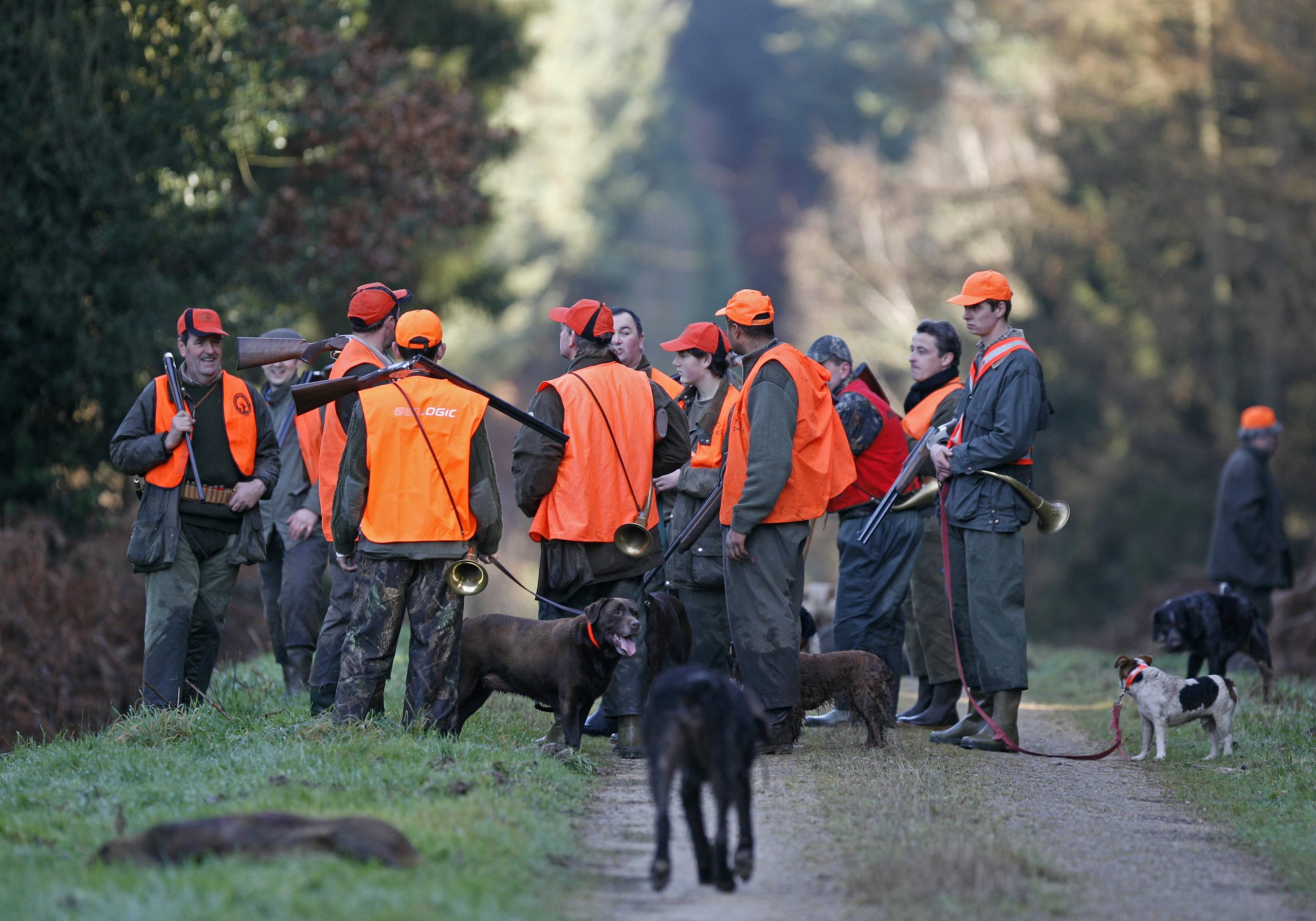 dates d’ouverture de la chasse pour la campagne 2024 / 2025