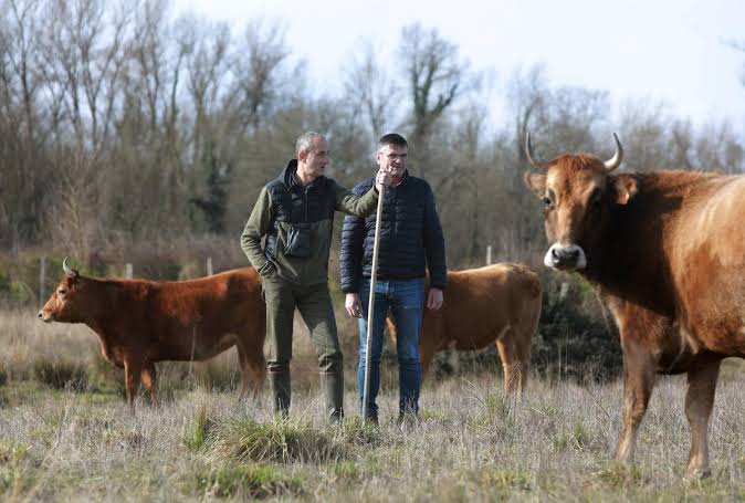 L’éco-pâturage : une gestion naturelle des zones humides