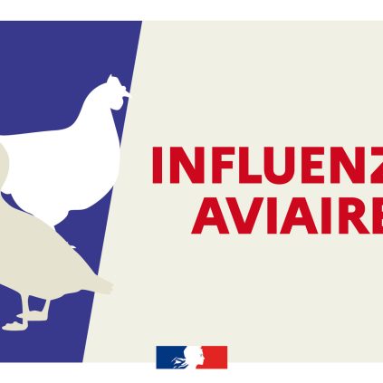 influenza-aviaire-vigilance-landes