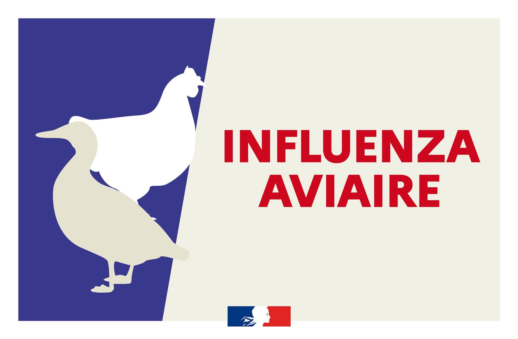 influenza-aviaire-vigilance-landes