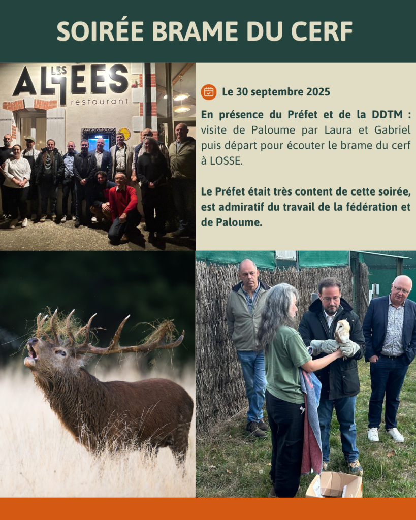 l’écho du CA 09/10/25 10