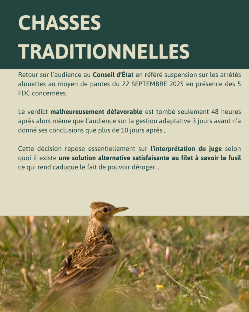 l’écho du CA 09/10/25 3