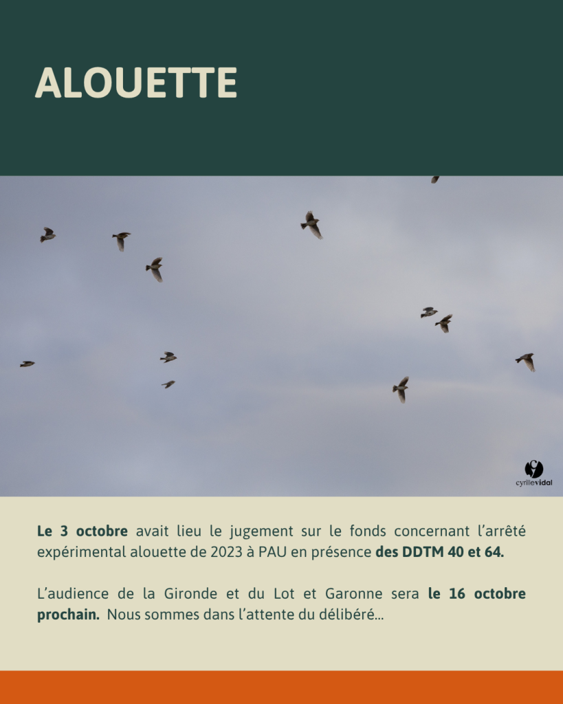 l’écho du CA 09/10/25 5