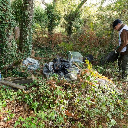 operation nettoyage landes