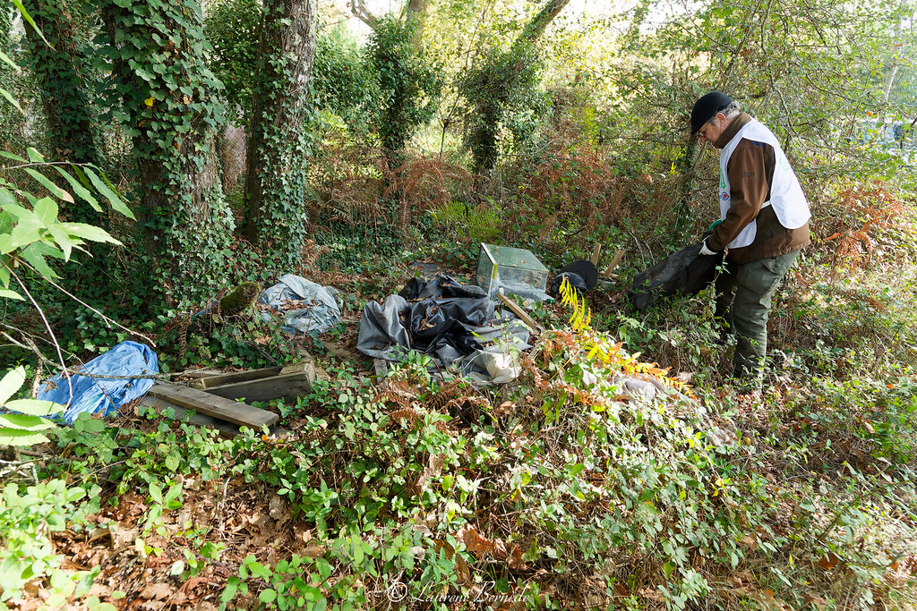 operation nettoyage landes