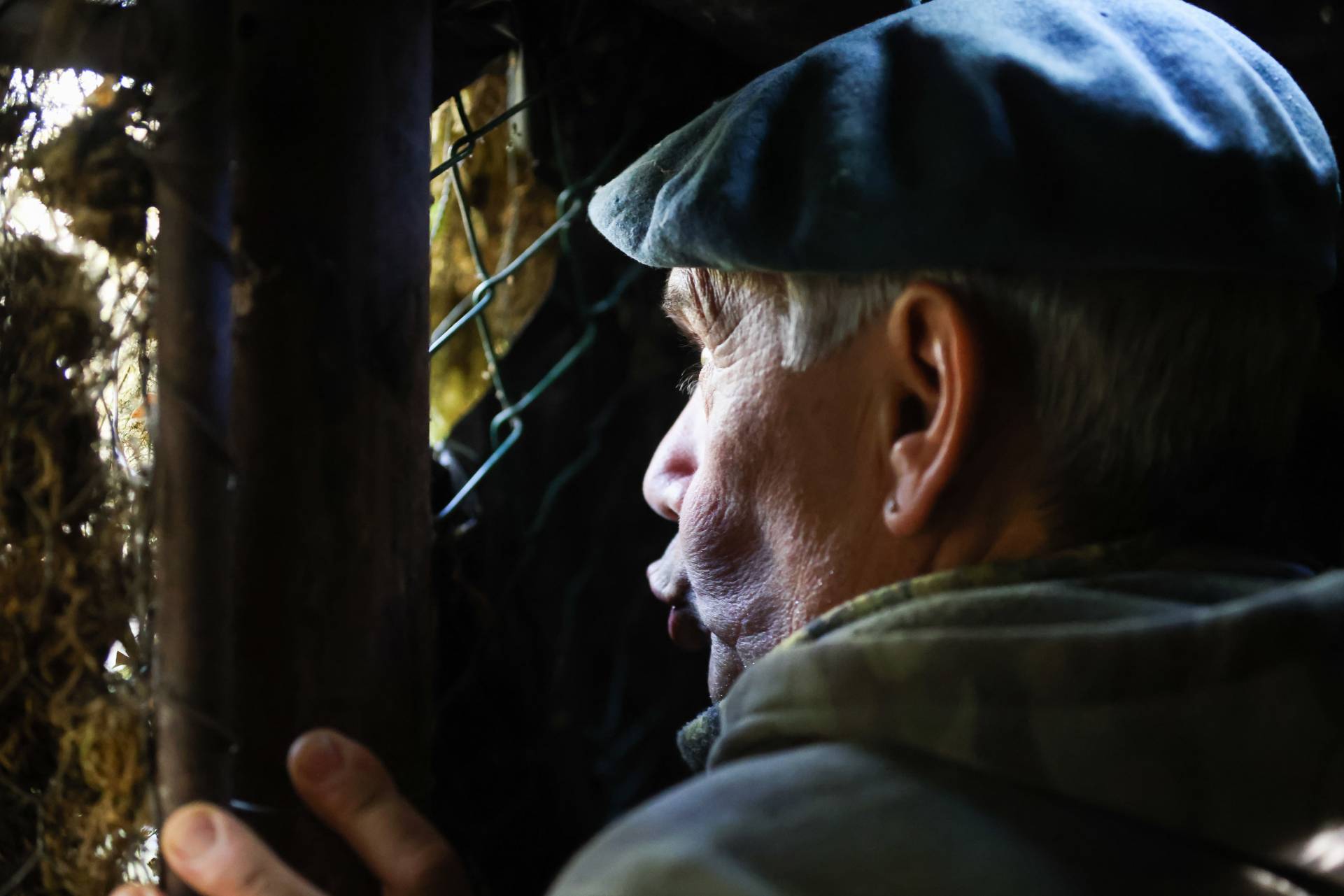 Photo - Chasse à la palombe