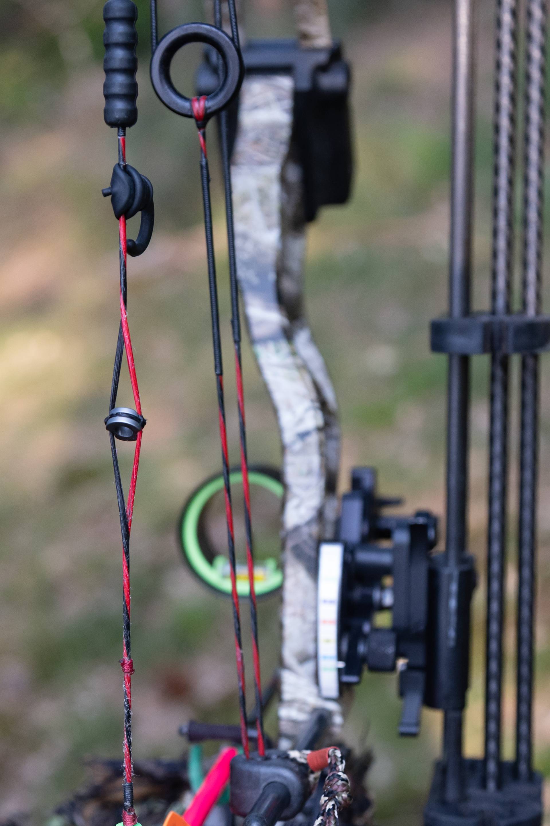 Photo - Chasse à l'arc
