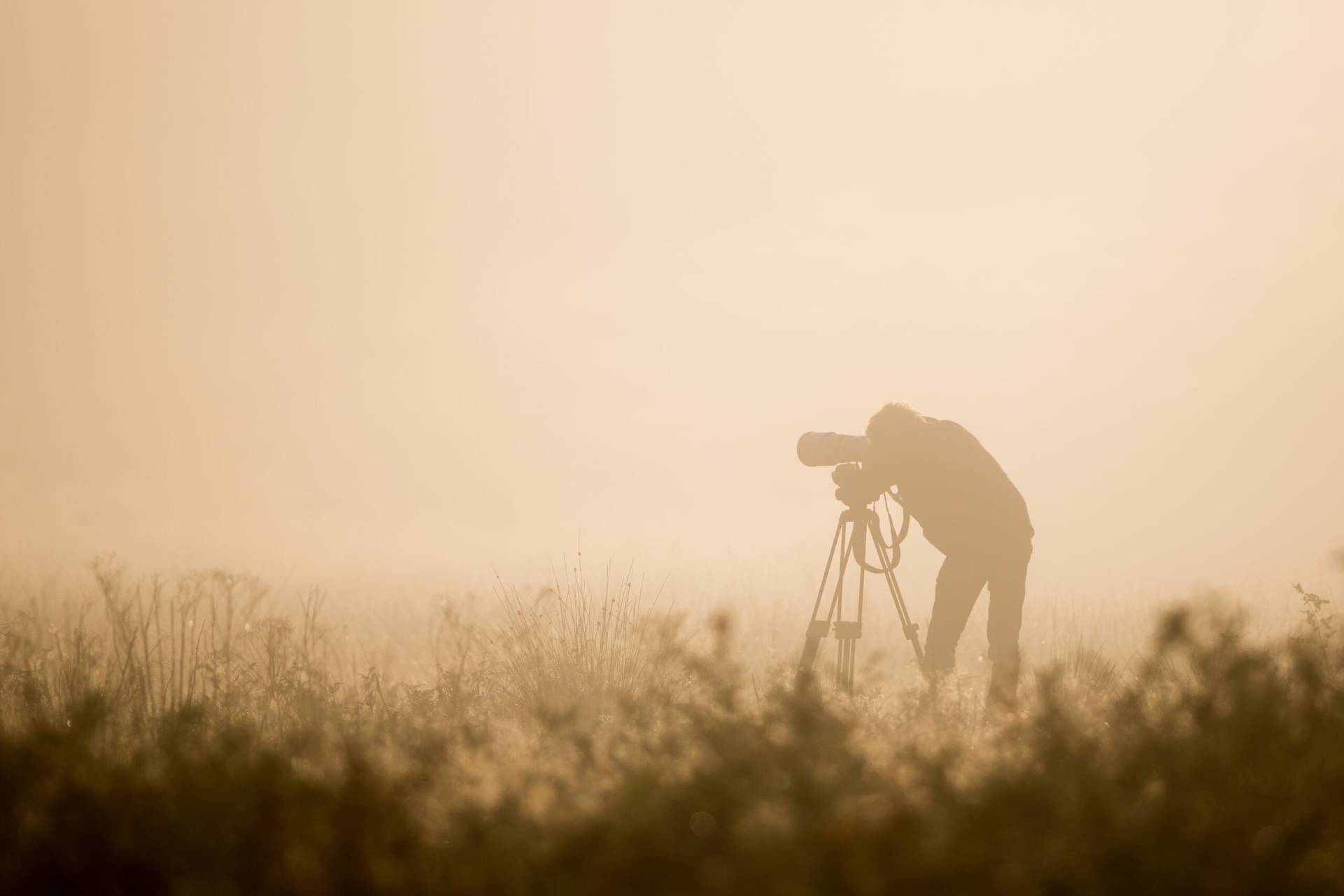 Photo - Observation