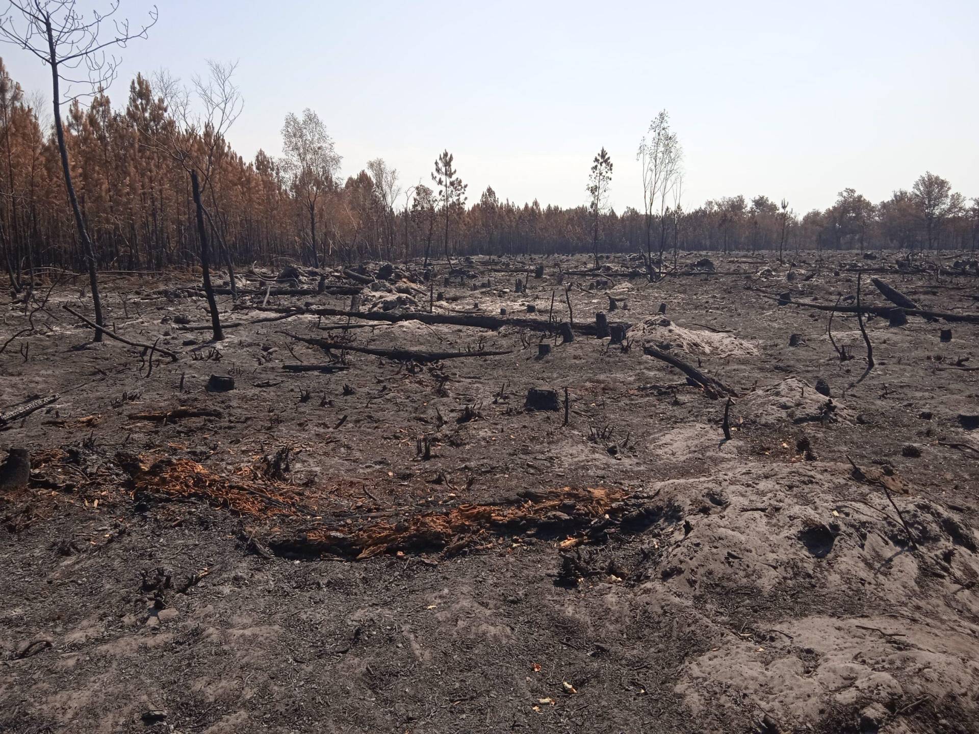 Photo - Incendies 2022