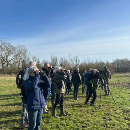 Journée mondiale des zones humides : découverte des gravières de Cazères-sur-l’Adour