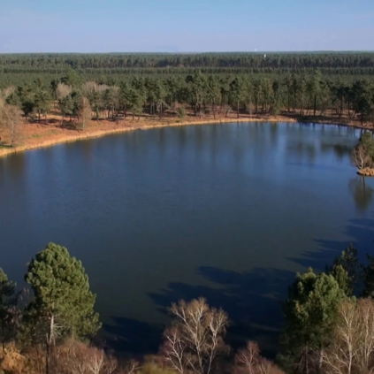 Journée mondiale des zones humides : découverte des lagunes des Landes de Gascogne à Losse