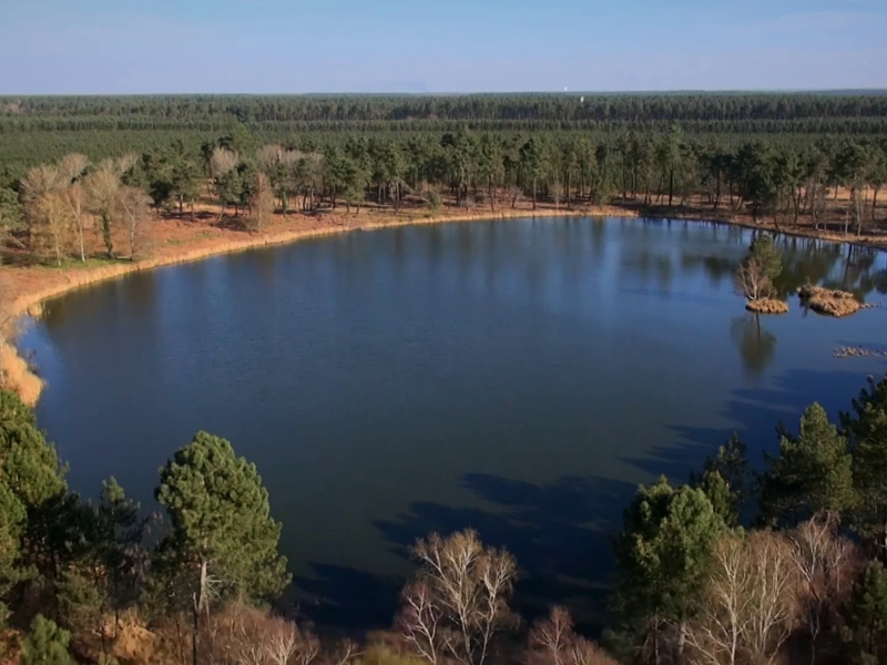 Journée mondiale des zones humides : découverte des lagunes des Landes de Gascogne à Losse