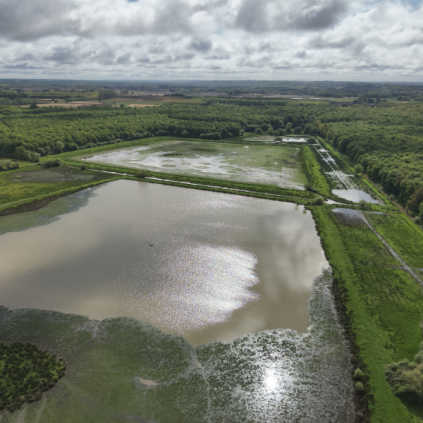 Journée mondiale des zones humides : découverte des Barthes de Pontonx-sur-l’Adour