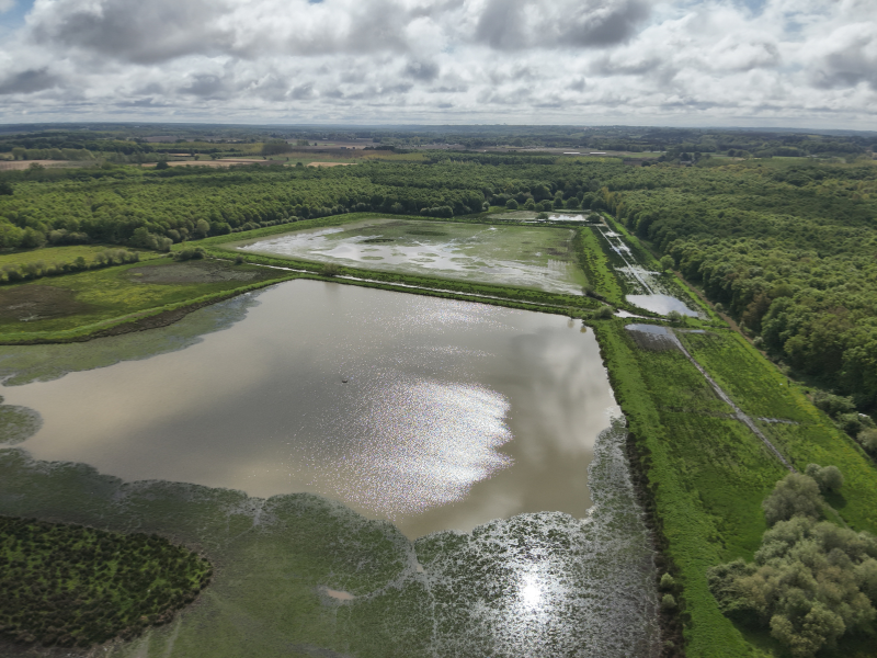 Journée mondiale des zones humides : découverte des Barthes de Pontonx-sur-l’Adour