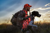 Arrêté d'ouverture de la chasse 2026-2027 – Landes